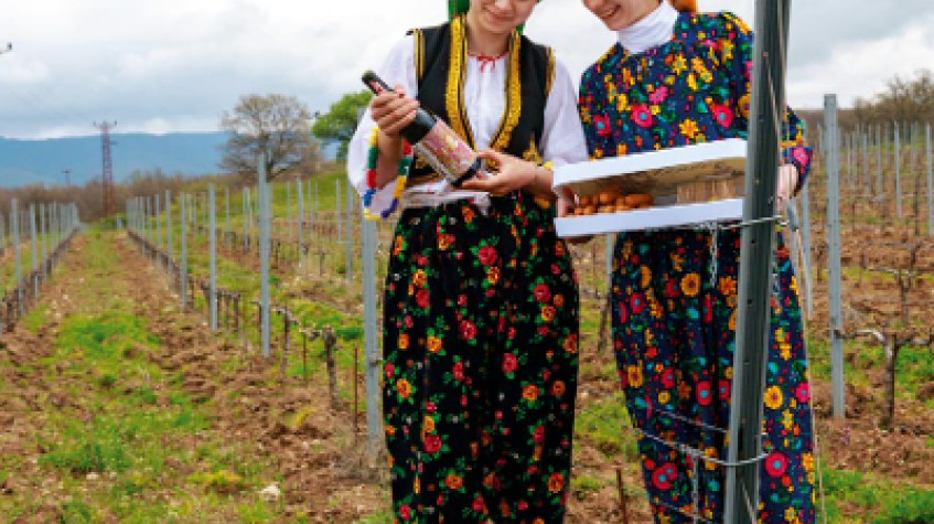 4 Days Istanbul Planting Seedlings/Harvest and Wine Testing Tour photo 1