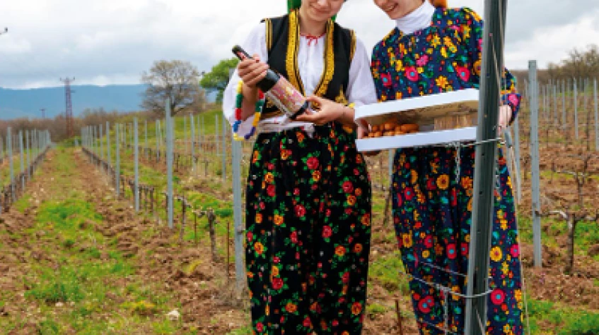 4 Days Istanbul Planting Seedlings/Harvest and Wine Testing Tour