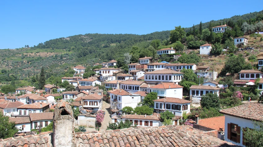 Daily Ephesus Tour from Istanbul