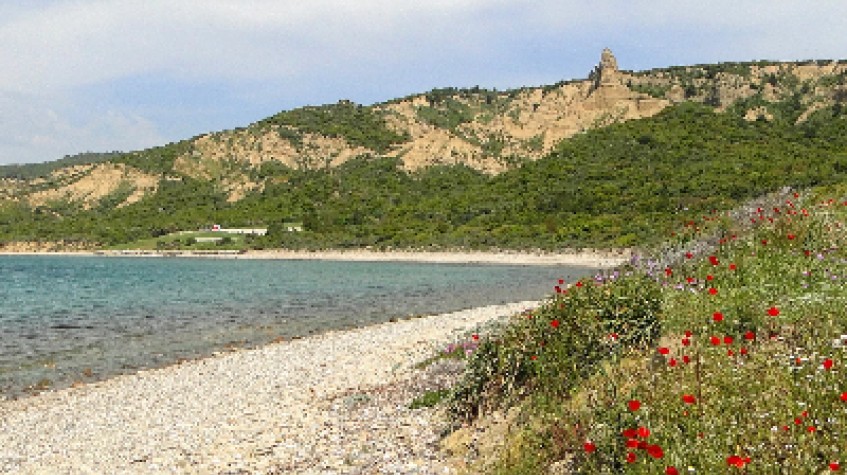 Private Gallipoli Day Tour from Istanbul photo 3