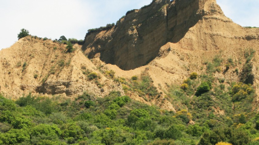 Private Gallipoli Day Tour from Istanbul photo 7