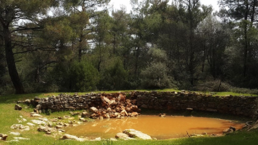 Daily Bodrum Trekking Tour photo 9
