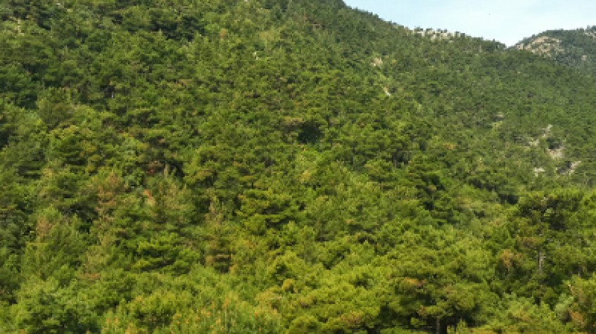 Daily Bodrum Trekking Tour photo 10