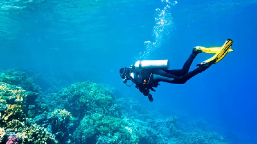 Daily Scuba Diving Tour Bodrum photo 4