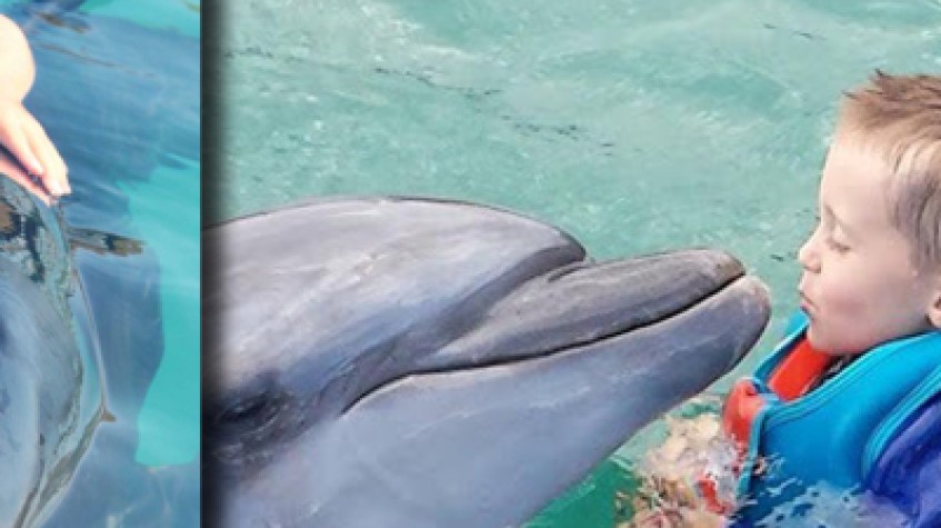 Bodrum Dolphin Show Tour photo 5