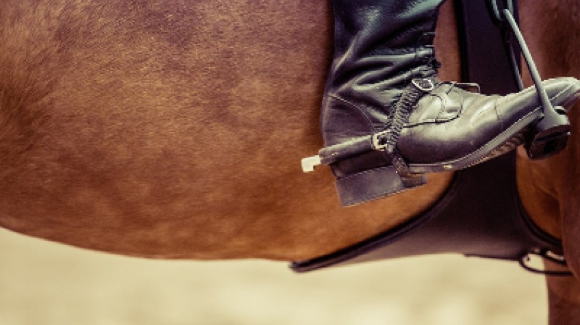 Daily Horse Riding Tour Bodrum photo 2