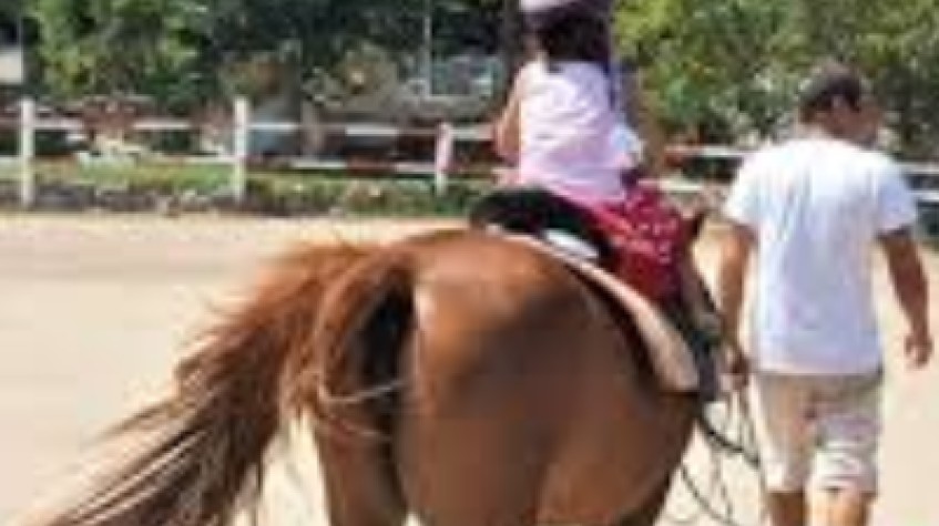 Daily Horse Riding Tour Bodrum photo 3