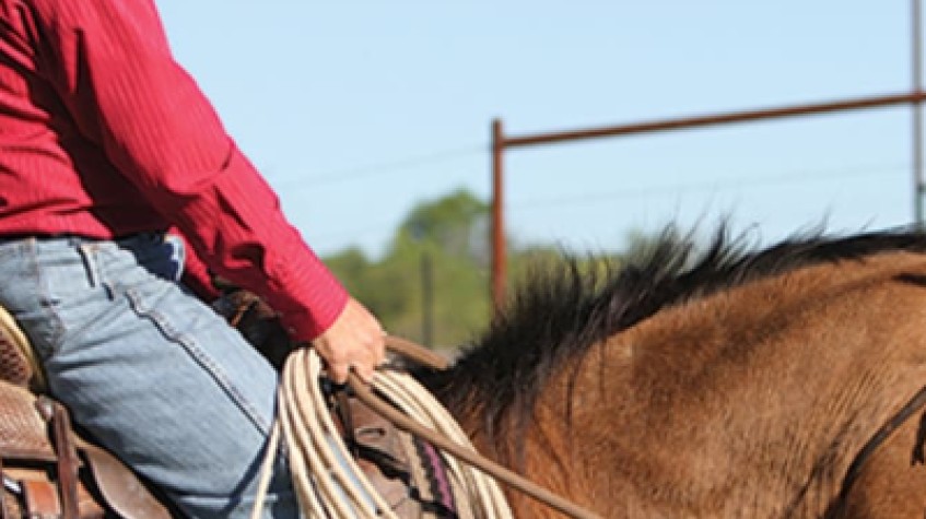 Daily Horse Riding Tour Bodrum photo 4