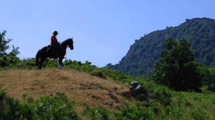 Daily Horse Riding Tour Bodrum photo 5