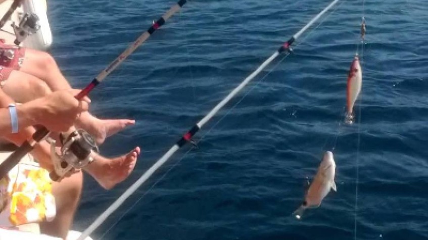 Daily Fishing Tour Bodrum photo 2