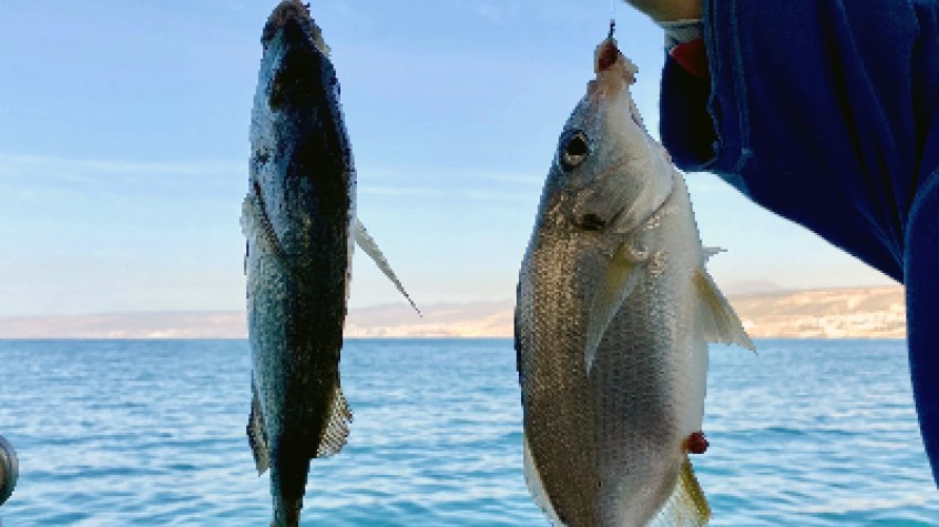 Daily Fishing Tour Bodrum photo 6