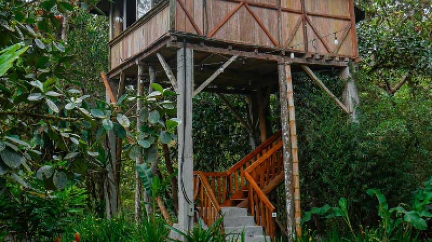 Natural Experience in El Carmel photo 6