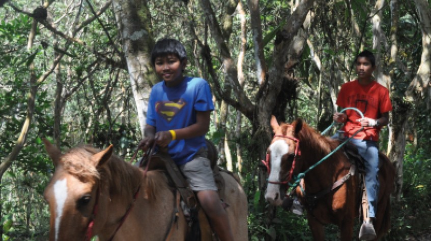 Natural Experience in El Carmel photo 7