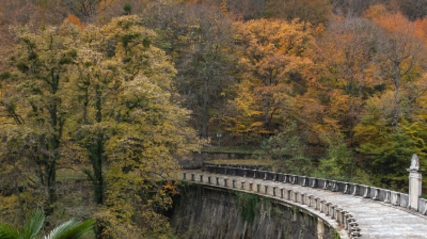 Full Day Outdoor Nature Tour / Rumeli Fortress, Belgrad Forest & More photo 2