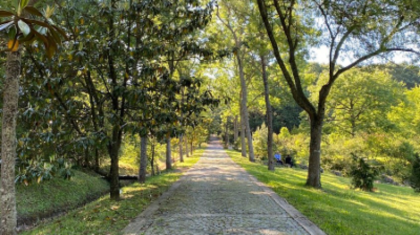 Full Day Outdoor Nature Tour / Rumeli Fortress, Belgrad Forest & More photo 4