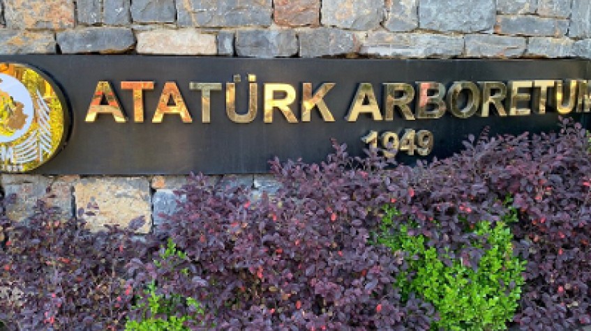 Full Day Outdoor Nature Tour / Rumeli Fortress, Belgrad Forest & More photo 5