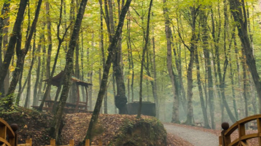 Full Day Outdoor Nature Tour / Rumeli Fortress, Belgrad Forest & More photo 6
