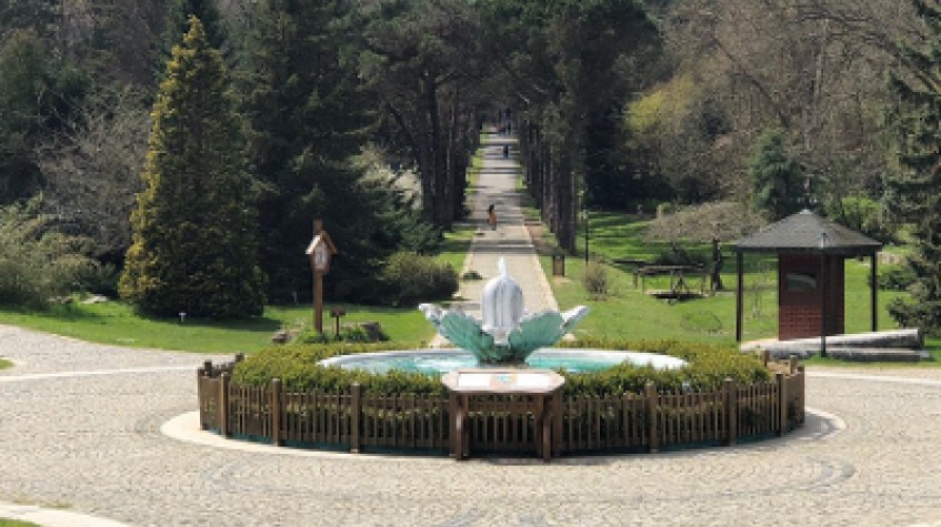 Full Day Outdoor Nature Tour / Rumeli Fortress, Belgrad Forest & More photo 8