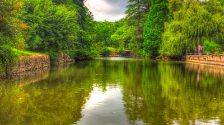 Full Day Outdoor Nature Tour / Rumeli Fortress, Belgrad Forest & More photo 10