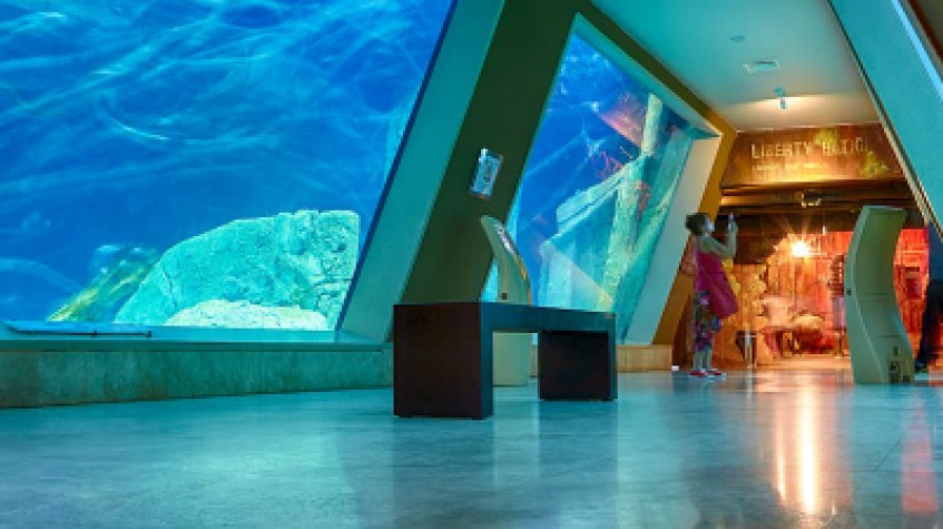Entry Ticket Sea Life Istanbul photo 2