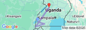 9 DAYS BEST OF UGANDA SAFARI TO MURCHISON FALLS, SEMULIKI, QUEEN ELIZABETH, BWINDI IMPENETRABLE FOREST AND LAKE MBURO NATIONAL PARKS Map