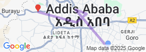 Full-Day Sightseeing Tour of Addis Ababa City Map